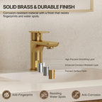 Single Hole Bathroom Faucet with Drain Assembly, Single Handle Bathroom Sink Faucet LP0091023-YS - Brushed Gold