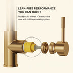 Dual Function Pull-Down Kitchen Faucet , Single Handle Sink Faucet LP013321-CF - Brushed Gold