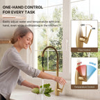 Commercial Style Dual Function Single Handle Pull Down Kitchen Faucet LP32-CF - Brushed Gold