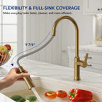 Pull-Down Kitchen Faucet with Dual-Function Sprayer, Single-Handle Sink Faucet LPL099122-CF - Brushed Gold