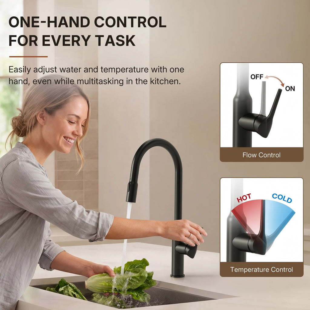 Dual-Function Single-Handle Pull-Down Kitchen Faucet with Swivel SpoutLP134-CF - Matte Black
