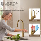 Pull Down Single Handle Kitchen Faucet with Dual Function LP0996-CF - Brushed Gold