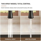 Commercial Style Dual Function Single Handle Pull Down Kitchen Faucet LP23-CF - Matte Black
