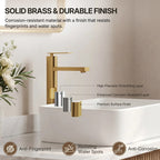 Single Hole Vessel Bathroom Faucet, Single Handle Vessel Bathroom Sink Faucet with Drain Assembly LP00985-YS - Brushed Gold