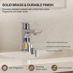 Single Hole Bathroom Faucet with Drain Assembly, Single Handle Bathroom Sink Faucet LP002101-YS - Chrome