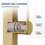 Single Hole Bathroom Faucet with Drain Assembly, Single Handle Bathroom Sink Faucet LP55789-YS- Brushed Gold
