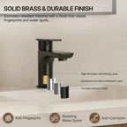 Single Hole Bathroom Faucet with Drain Assembly, Single Handle Bathroom Sink Faucet LP00130-YS - Matte Black