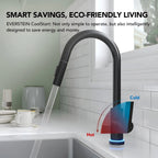 Pull Down Sprayer Kitchen Sink Faucet, Single Handle Kitchen Faucet with LED Light Base LP33031-CF - Matte Black