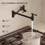 Wall Mount Swing Arm Folding Pot Filler Kitchen Faucet, 2-Handle Kitchen Faucet for Stove Use LP98-CF - Matte Black