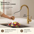 Dual Function Pull-Down Kitchen Faucet , Single Handle Sink Faucet LP013321-CF - Brushed Gold