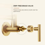 Wall Mount Pot Filler Faucet with Retractable Arm, 2-Handle Kitchen Faucet for Stove Use LP170-CF - Brushed Gold