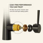 Commercial Dual-Function Pull Down Kitchen Faucet with High Arc Spring Spout LP0557-CFK - Matte Black