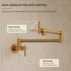 Wall Mount Pot Filler Faucet with Retractable Arm, 2-Handle Kitchen Faucet for Stove Use LP170-CF - Brushed Gold
