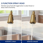 Pull Down Kitchen Sink Faucet, Single Handle Kitchen Faucet with Swivel Spout LP0776-CF - Brushed Gold