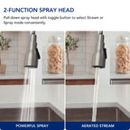 Dual-Function Single-Handle Pull-Down Kitchen Faucet with 360 Degree Swivel Spout LP1068-CF - Stainless Steel