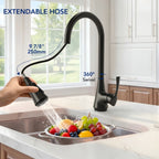 Pull Down Kitchen Sink Faucet, Single Handle Kitchen Faucet with Swivel Spout LP43-CF - Matte Black