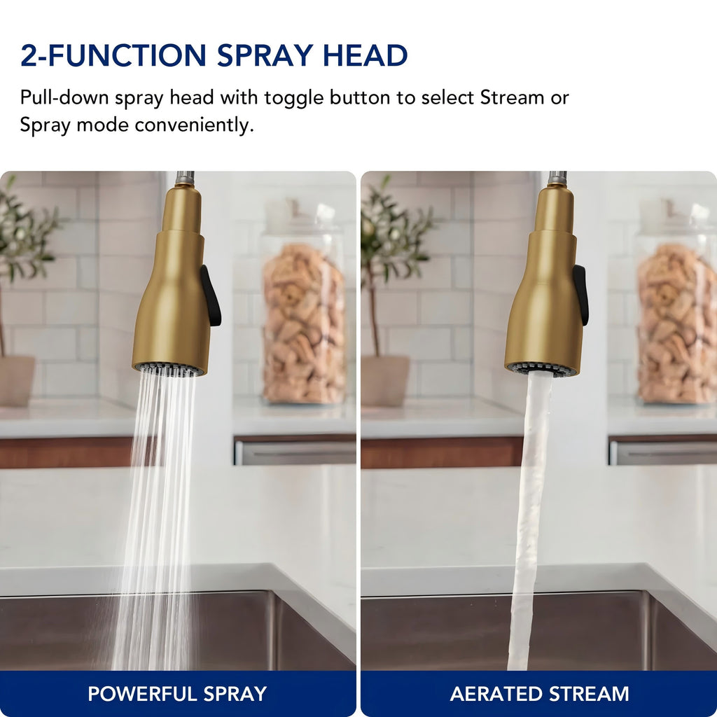 Dual-Function Single-Handle Pull-Down Kitchen Faucet with 360 Degree Swivel Spout LP0412-CF - Brushed Gold