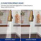 Dual-Function Single-Handle Pull-Down Kitchen Faucet with 360 Degree Swivel Spout LP0412-CF - Brushed Gold