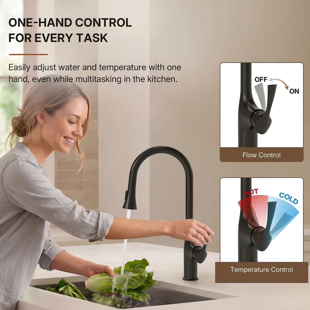 Pull-Down Single Handle Kitchen Faucet with High-Arc Spout LP0669-CF - Matte Black