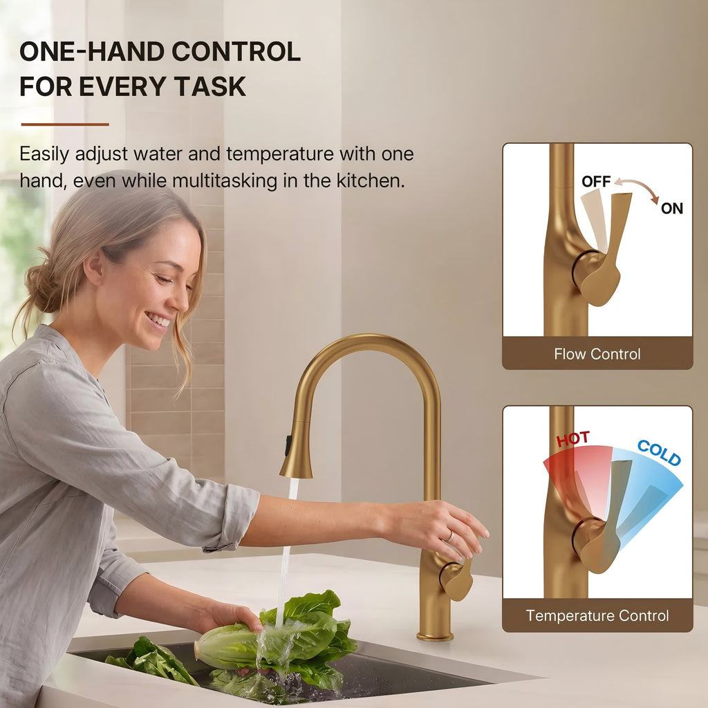 Pull-Down Single Handle Kitchen Faucet with High-Arc Spout LP0667-CF - Brushed Gold