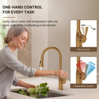 Pull-Down Single Handle Kitchen Faucet with High-Arc Spout LP0667-CF - Brushed Gold