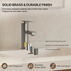 Single Hole Bathroom Faucet, Single Handle Bathroom Sink Faucet with Drain Assembly LP001230-YS - Brushed Nickel