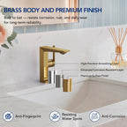 Single Hole Bathroom Faucet with Drain Assembly, Single Handle Bathroom Sink Faucet LP55789-YS- Brushed Gold