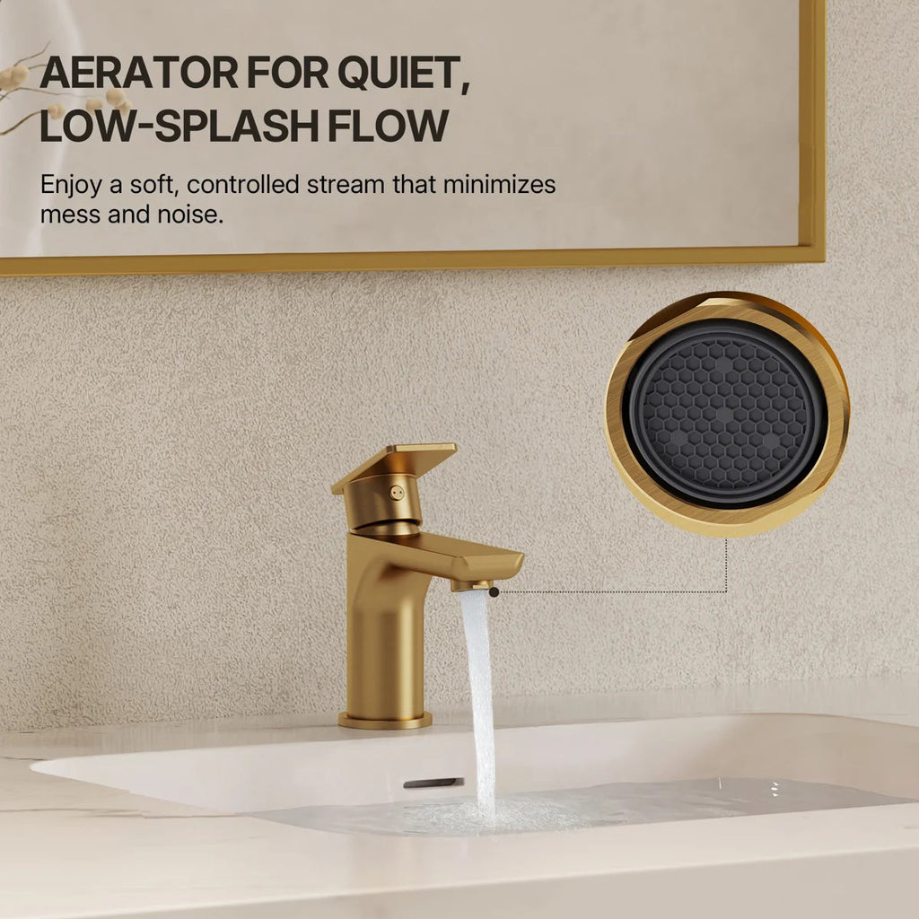 Single Hole Bathroom Faucet with Drain Assembly, Single Handle Bathroom Sink Faucet LP0091023-YS - Brushed Gold
