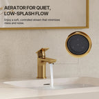 Single Hole Bathroom Faucet with Drain Assembly, Single Handle Bathroom Sink Faucet LP0091023-YS - Brushed Gold