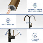 Dual Function Pull-Down Kitchen Faucet , Single Handle Sink Faucet LP9911606-CF - Matte Black