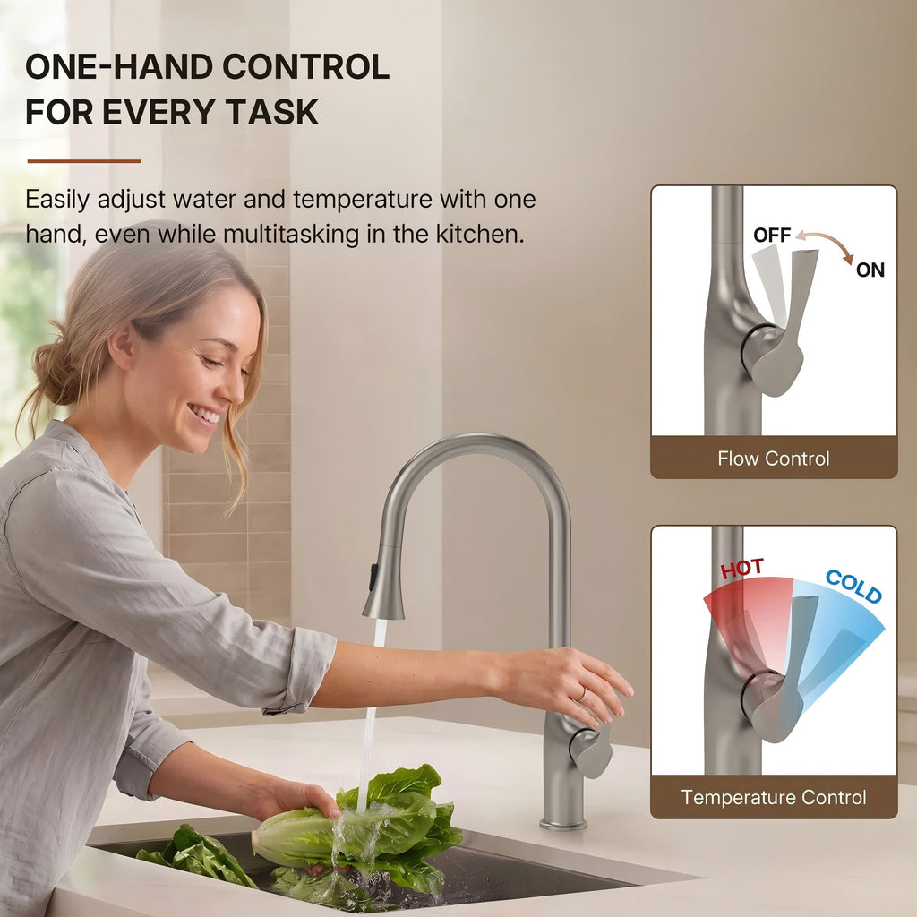 Pull-Down Single Handle Kitchen Faucet with High-Arc Spout LP0668-CF Stainless Steel