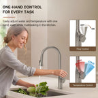 Pull-Down Single Handle Kitchen Faucet with High-Arc Spout LP0668-CF Stainless Steel