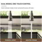 Dual-Function Single-Handle Pull-Down Kitchen Faucet with Deck Plate LP08812-CF- Brushed Nickel