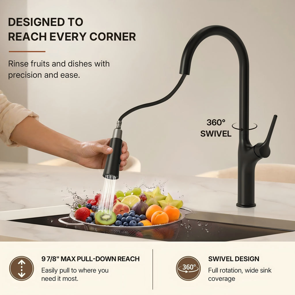 Dual-Function Single-Handle Pull-Down Kitchen Faucet LP0997-CF - Matte Black