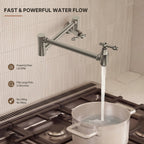 Wall Mount Swing Arm Folding Pot Filler Kitchen Faucet, 2-Handle Kitchen Faucet for Stove Use LP09-CFK - Brushed Nickel