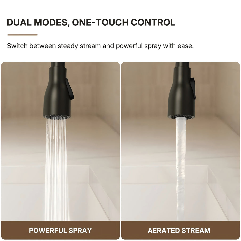Commercial Style Dual Function Single Handle Pull Down Kitchen Faucet LP052-CF - Matte Black