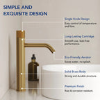 Single Hole Bathroom Vessel Faucet, Single Handle Bathroom Vessel Sink Faucet with Drain Assembly LP0223144-YS - Brushed Gold