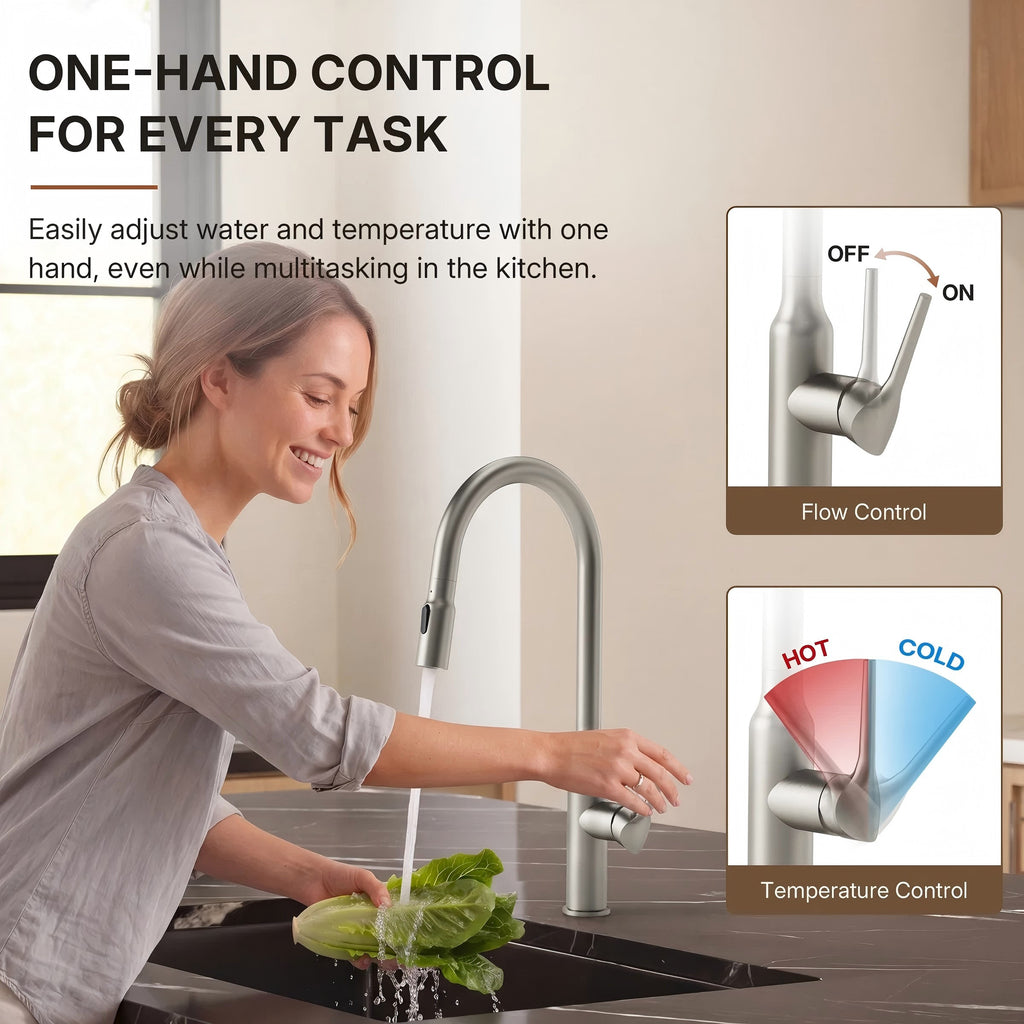 Dual-Function Single-Handle Pull-Down Kitchen Faucet with Swivel Spout LP133-CF- Stainless Steel