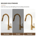 Dual Function Pull-Down Kitchen Faucet , Single Handle Sink Faucet LP013321-CF - Brushed Gold