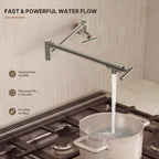 Wall Mount Pot Filler Faucet with Retractable Arm, 2-Handle Kitchen Faucet for Stove Use LP108-CF- Brushed Nickel