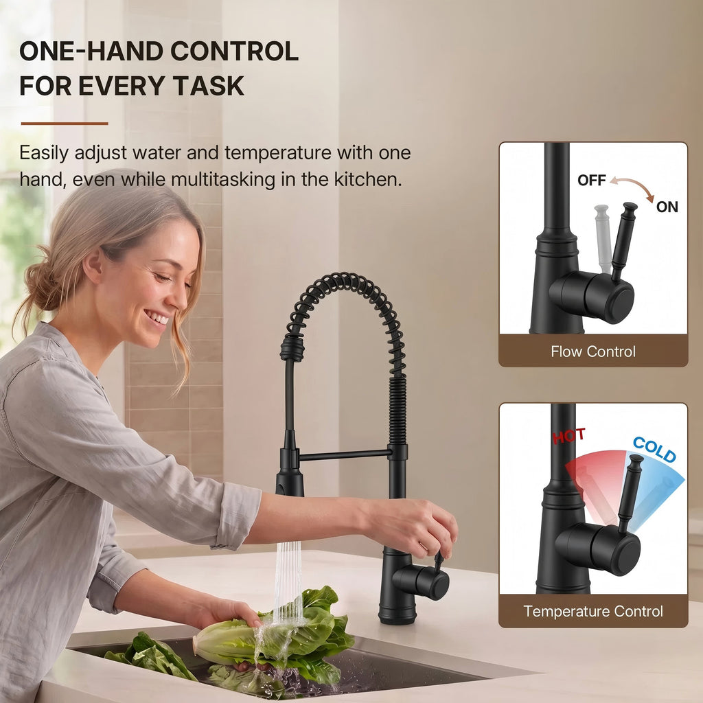 Commercial Style Dual Function Single Handle Pull Down Kitchen Faucet LP23-CF - Matte Black