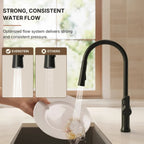Pull-Down Kitchen Faucet with Dual-Function, Single-Handle Sink Faucet with Swivel Spout ,LP010191-CF - Matte Black