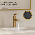 Single Hole Bathroom Faucet, Single Handle Bathroom Sink Faucet with Drain Assembly LP011235-YS - Brushed Gold