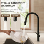 Dual-Function Single-Handle Pull-Down Kitchen Faucet with Swivel SpoutLP134-CF - Matte Black