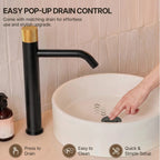 Single Hole Bathroom Vessel Faucet, Single Handle Bathroom Vessel Sink Faucet with Drain Assembly LP0220266-YS - Matte Black/Brushed Gold