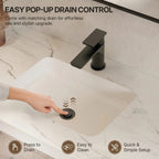 Single Hole Bathroom Faucet with Drain Assembly, Single Handle Bathroom Sink Faucet LP00130-YS - Matte Black