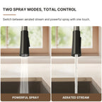 Dual-Function Single-Handle Pull-Down Kitchen Faucet LP0997-CF - Matte Black