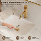 Single Hole Bathroom Faucet,Knob Single Handle Bathroom Sink Faucet with Drain Assembly LP0086-YS - Brushed Gold