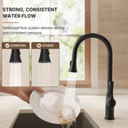 Pull-Down Single Handle Kitchen Faucet with High-Arc Spout LP0669-CF - Matte Black