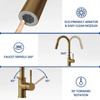Dual Function Pull-Down Kitchen Faucet , Single Handle Sink Faucet LP013321-CF - Brushed Gold